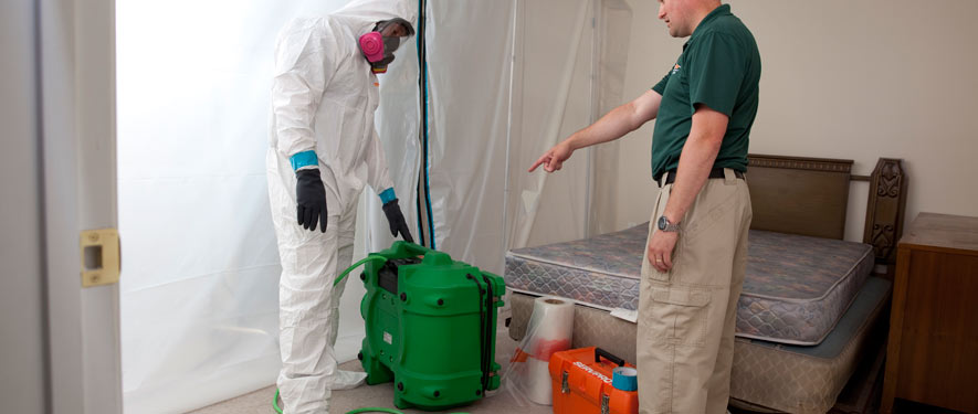 Chester, PA mold removal process