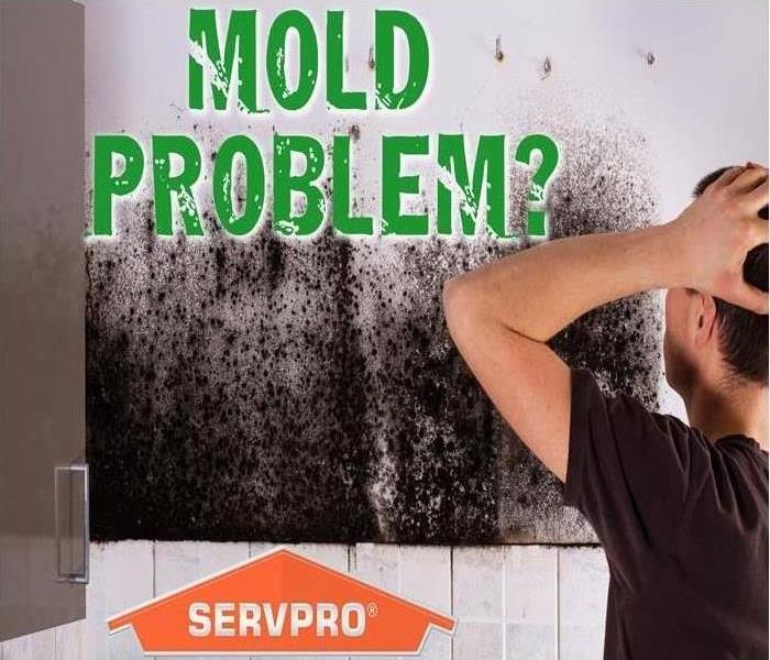 Mold can be seen growing on a wall as a stressed business owner looks at it, hands on his head.